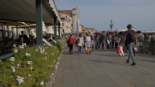 Les Gens Marchent Sur Front Mer — Video