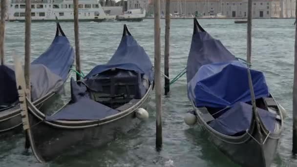 Three Moored Gondolas Port — Stock Video