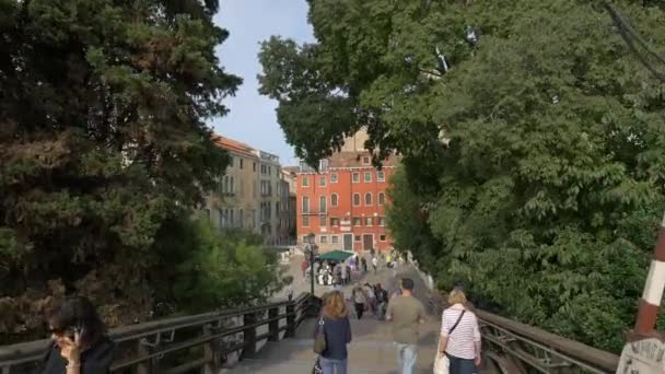 Wandelen Ponte Dell Accademia — Stockvideo