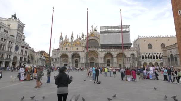 Tourists Front Basilica San Marco — Stock Video