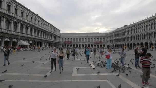 Promenader Piazza San Marco Molnig Eftermiddag — Stockvideo