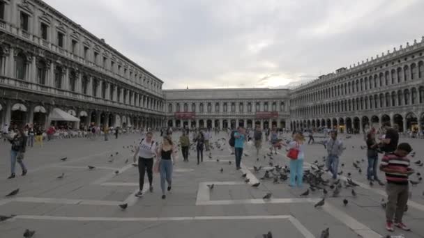 Spaziergang Auf Dem Markusplatz Einem Bewölkten Nachmittag — Stockvideo