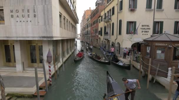 Rowing Gondolas Rio Moise — Stock Video