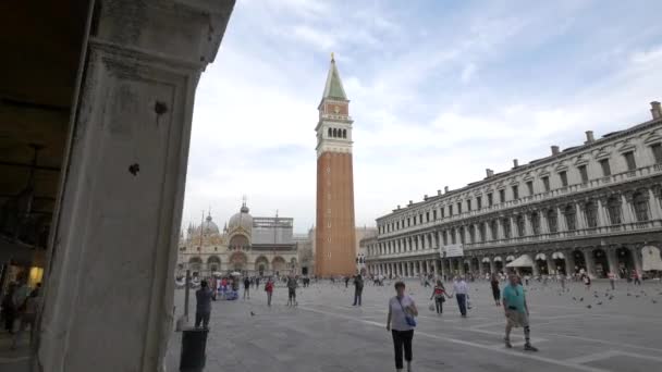 Piazza San Marco Och Klocktornet — Stockvideo