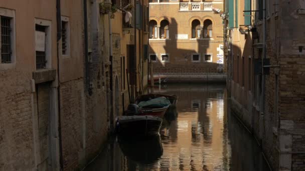 Rio Granzoni Venecia Italia Europa — Vídeo de stock