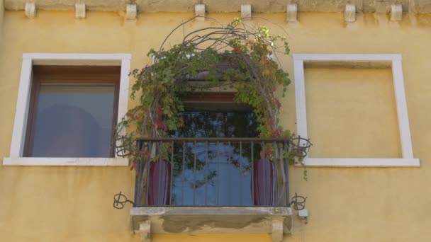 Fenêtre Avec Une Arche Faite Plantes Vertes — Video