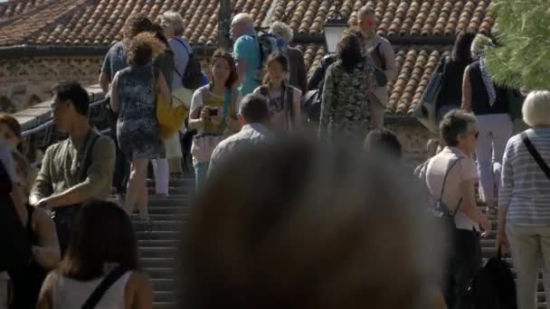 Caminando Por Las Escaleras Ponte Dell Academia — Vídeo de stock