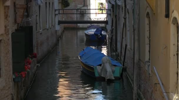 Two Covered Boats Moored Canal — Stock Video