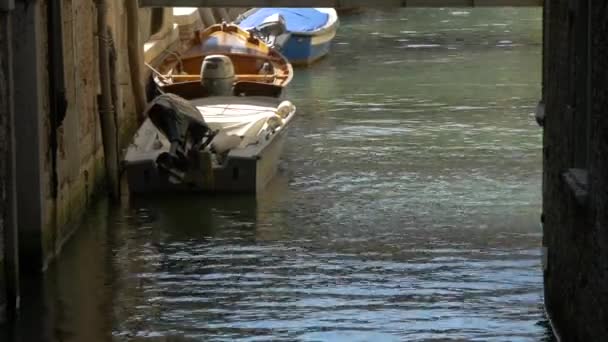 Лодки Плавающие Набережной — стоковое видео