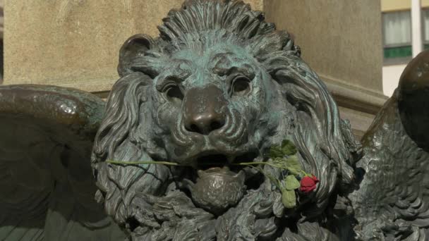 Statue Lion Tenant Une Rose Dans Bouche — Video