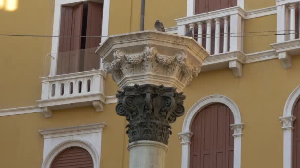 Decorated Column Campo San Salvador — Stock Video