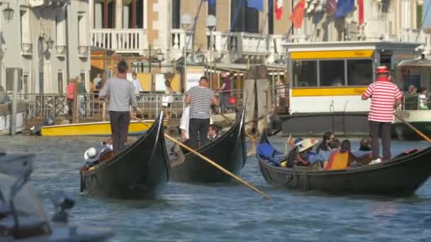 Gondolas Rowing Venesia — Stok Video