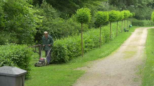 One Man Mowing Lawn — Stock Video