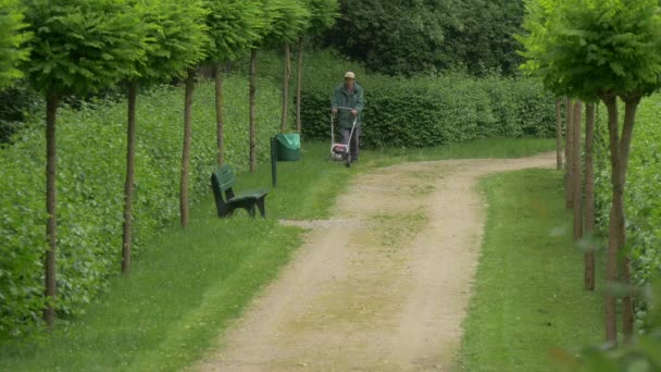 Jardineiro Usando Cortador Grama Grama — Vídeo de Stock