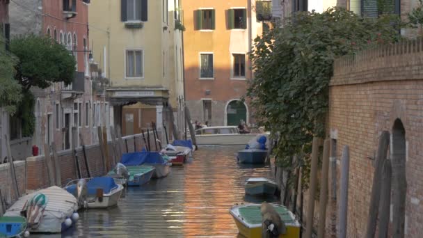 Boote Einem Kanal Festgemacht — Stockvideo