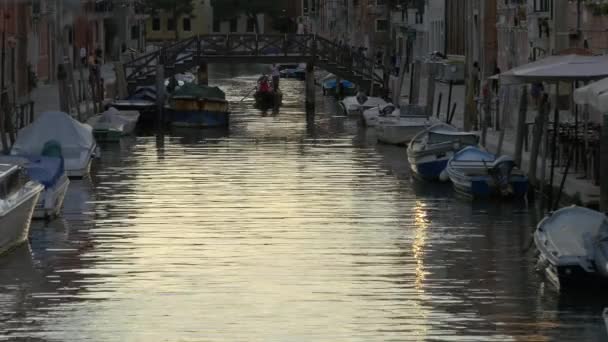 Kanal Mit Booten Und Brücke — Stockvideo