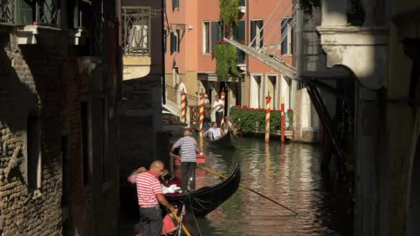 Gondoliers Ramant Des Gondoles Dans Canal — Video