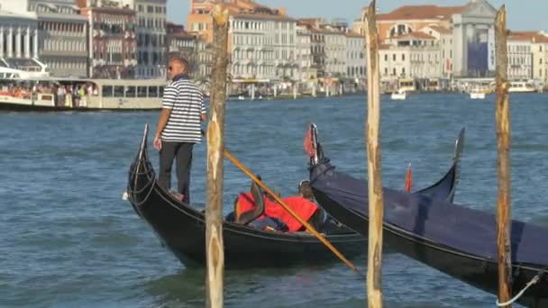 Uomo Remi Gondola Nel Canal Grande — Video Stock