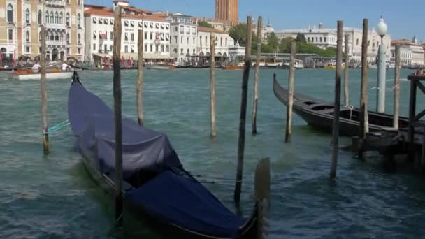 Campanile São Marcos Visto Orla Marítima — Vídeo de Stock