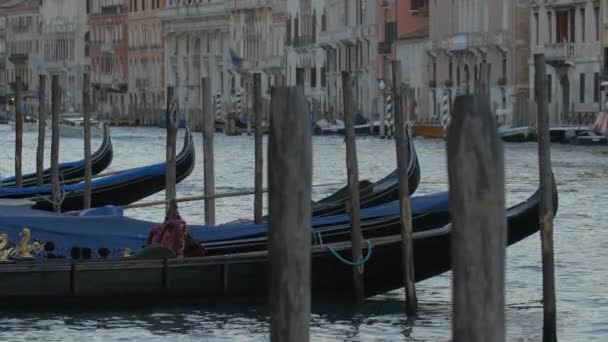 Gondolas Amarradas Gran Canal — Vídeos de Stock