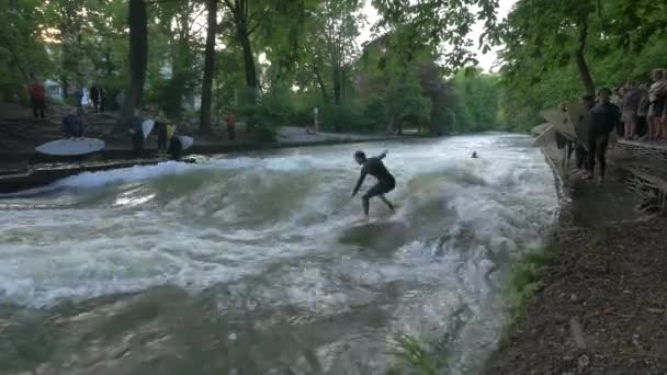 Sauter Dans Eau Surfer — Video