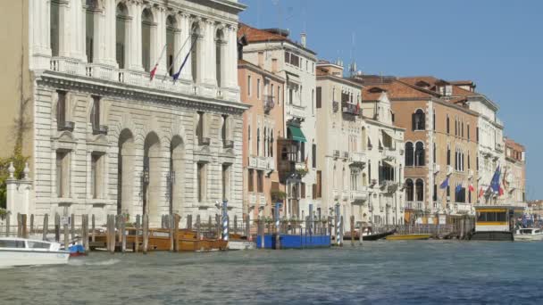 Prefekturen Venedig Och Andra Byggnaderna — Stockvideo
