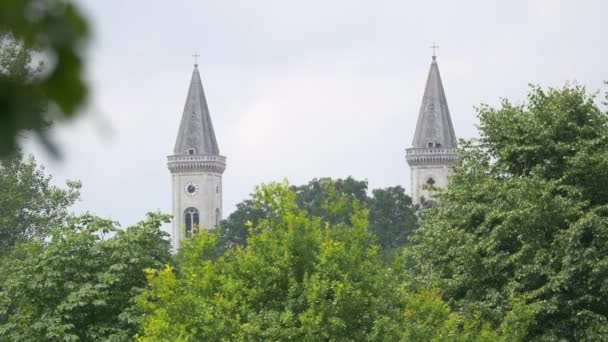 Torres Gemelas Detrás Ramas — Vídeos de Stock