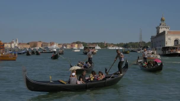 Punta Della Dogana Mare Yakınlarındaki Gondollarda Kürek Çeken Adamlar — Stok video