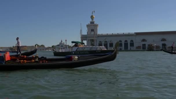 Gondole Wiosłowe Pobliżu Punta Della Dogana Mare — Wideo stockowe