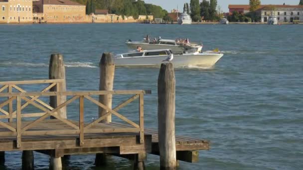 Laguna Veneciana Con Barcos Muelle Madera — Vídeos de Stock