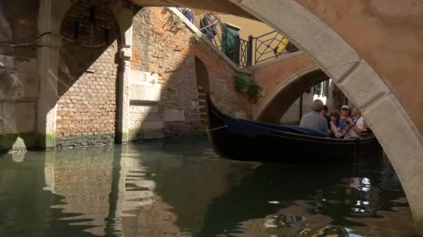 在两座桥下划船的人 — 图库视频影像