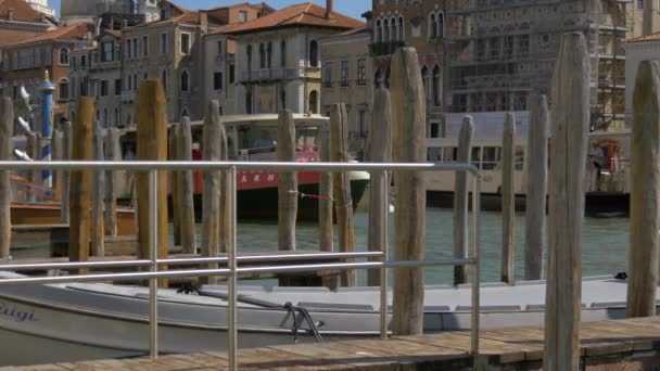 Två Sightseeingbåtar Seglar Canal Grande — Stockvideo