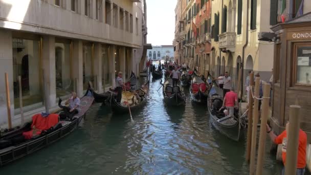 Gondolas Gathered Narrow Canal — Stock Video