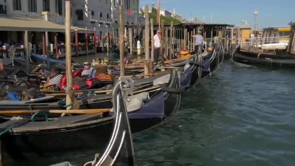 Gondolas Amarradas Paseo Marítimo — Vídeos de Stock