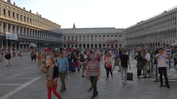 Folk Går Piazza San Marco — Stockvideo