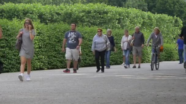 Wandelen Fietsen Een Steegje Met Groene Struiken — Stockvideo