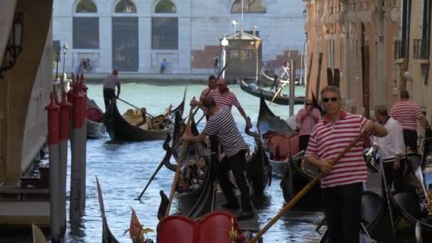 Utsikt Över Gondolas Och Gondoliers — Stockvideo