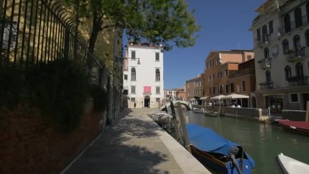 Buildings Canal — Stock Video