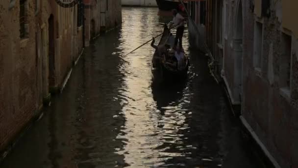 Homme Ramant Une Gondole Dans Canal Étroit — Video