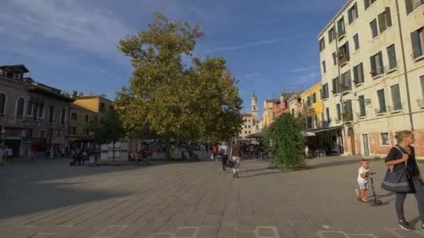 Δέντρο Στη Μέση Του Campo Santa Margherita — Αρχείο Βίντεο