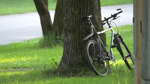 나무줄기에 기대어 자전거 — 비디오