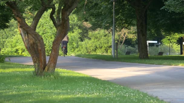 Οδηγώντας Ένα Ποδήλατο Ένα Πάρκο — Αρχείο Βίντεο