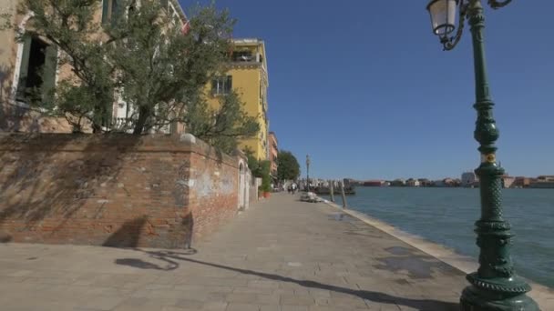 Venetian Lagoon Shore — Stock Video