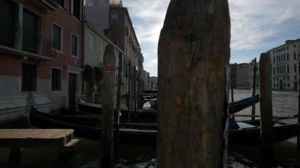 Gondolas Venedig Italien Europa — Stockvideo
