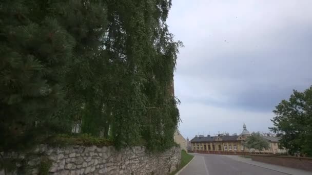 Árvores Parede Pedra Perto Castelo Real Wawel — Vídeo de Stock