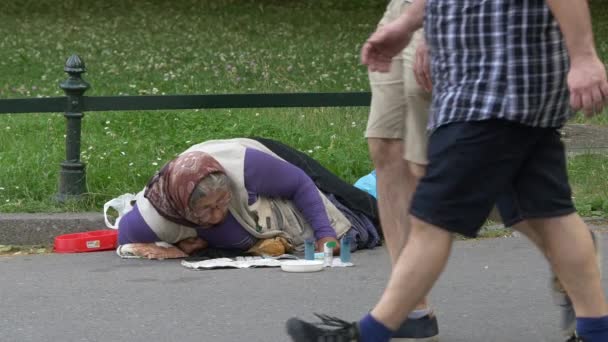 Yaşlı Kadın Yalvarıyor Seyahat Konsepti — Stok video