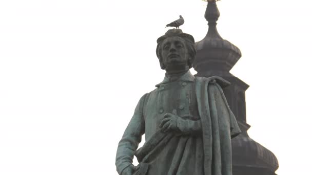 Vogel Steht Auf Einer Statue — Stockvideo