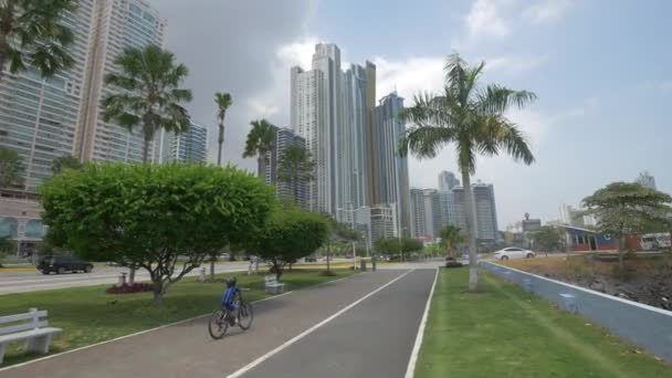 Tall Buildings Cinta Costera Park — Stockvideo