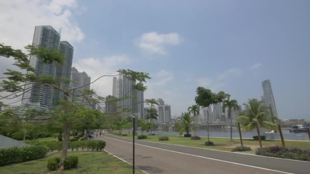 Callejón Parque Cinta Costera Ciudad Panamá — Vídeos de Stock