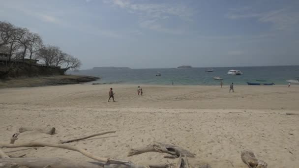 Beach Contadora Island Panama — Stock Video